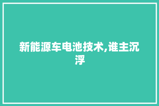 新能源车电池技术,谁主沉浮 车型评测