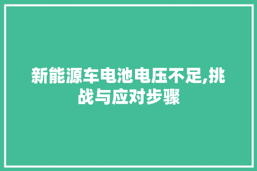 新能源车电池电压不足,挑战与应对步骤