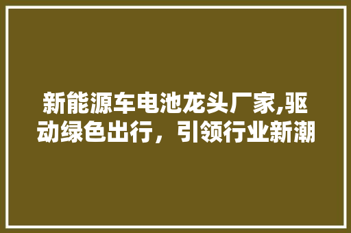 新能源车电池龙头厂家,驱动绿色出行，引领行业新潮流