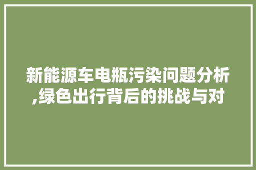 新能源车电瓶污染问题分析,绿色出行背后的挑战与对策 车联网技术