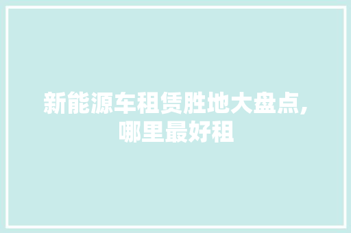 新能源车租赁胜地大盘点,哪里最好租