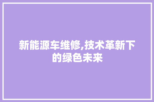 新能源车维修,技术革新下的绿色未来