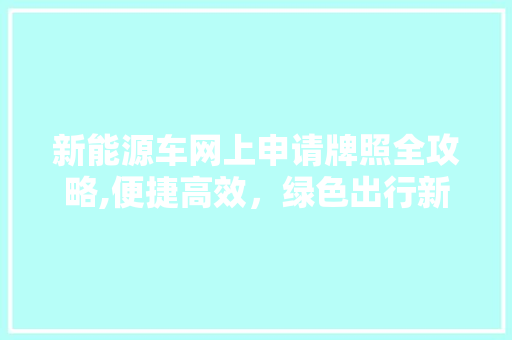 新能源车网上申请牌照全攻略,便捷高效，绿色出行新时代 汽车展览