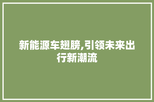 新能源车翅膀,引领未来出行新潮流 智能驾驶