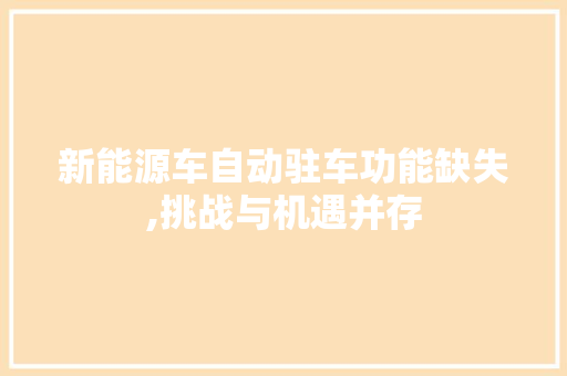 新能源车自动驻车功能缺失,挑战与机遇并存