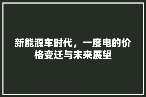 新能源车时代，一度电的价格变迁与未来展望