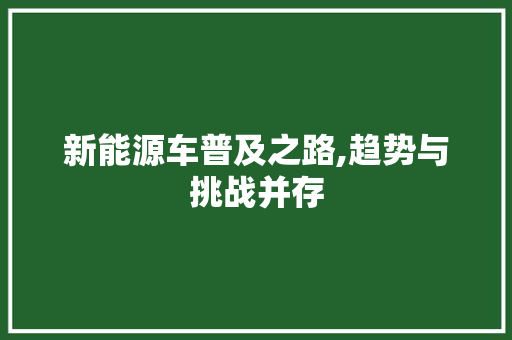 新能源车普及之路,趋势与挑战并存 车型评测
