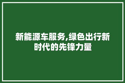 新能源车服务,绿色出行新时代的先锋力量