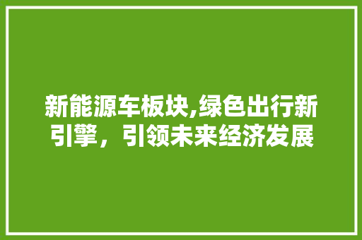 新能源车板块,绿色出行新引擎，引领未来经济发展
