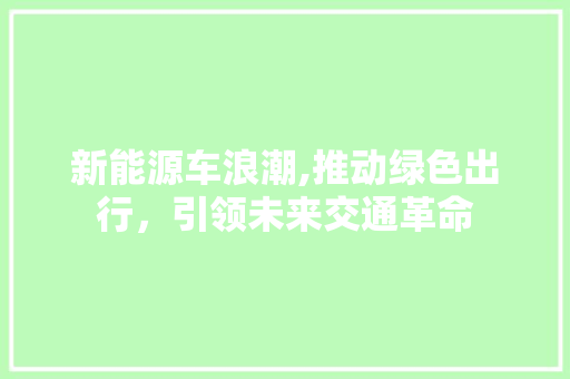 新能源车浪潮,推动绿色出行，引领未来交通革命 车联网技术