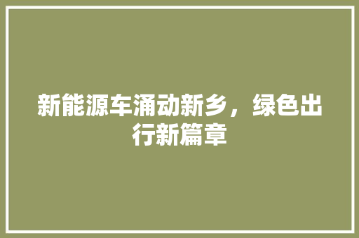 新能源车涌动新乡，绿色出行新篇章