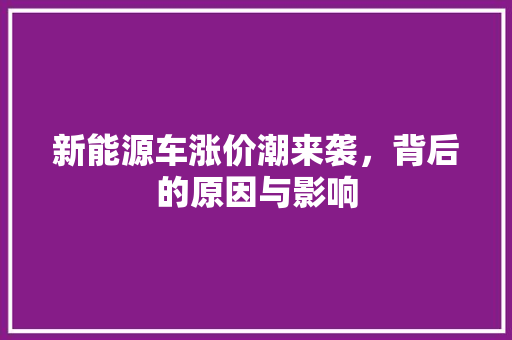 新能源车涨价潮来袭，背后的原因与影响 新车资讯