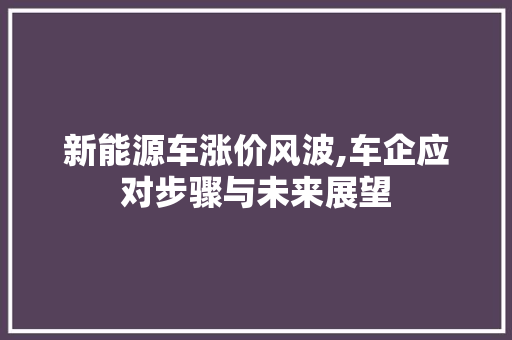 新能源车涨价风波,车企应对步骤与未来展望 新车资讯