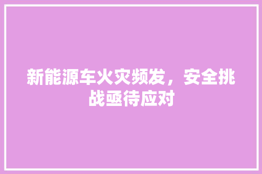 新能源车火灾频发，安全挑战亟待应对