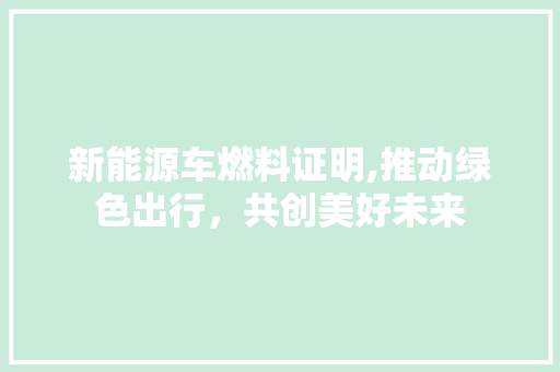 新能源车燃料证明,推动绿色出行，共创美好未来