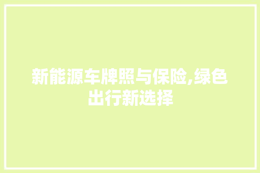 新能源车牌照与保险,绿色出行新选择