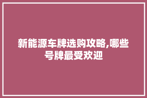 新能源车牌选购攻略,哪些号牌最受欢迎