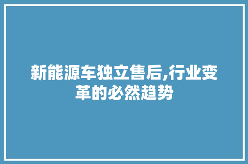 新能源车独立售后,行业变革的必然趋势