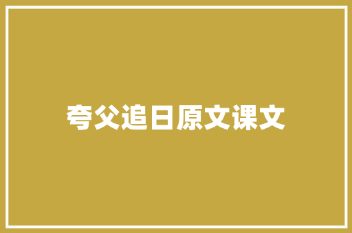 新能源车转手订单介绍,市场动态与未来趋势