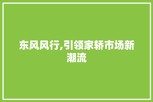 东风风行,引领家轿市场新潮流