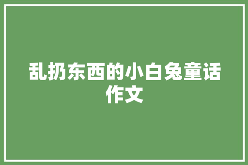 梅州二手两厢车市场,价格走势与选购指南