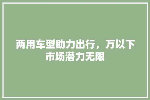 两用车型助力出行，万以下市场潜力无限