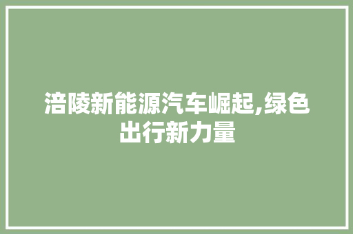 涪陵新能源汽车崛起,绿色出行新力量