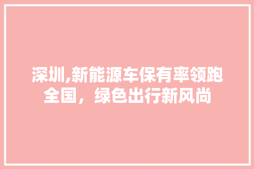 深圳,新能源车保有率领跑全国，绿色出行新风尚