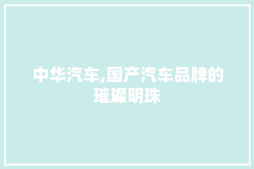 中华汽车,国产汽车品牌的璀璨明珠
