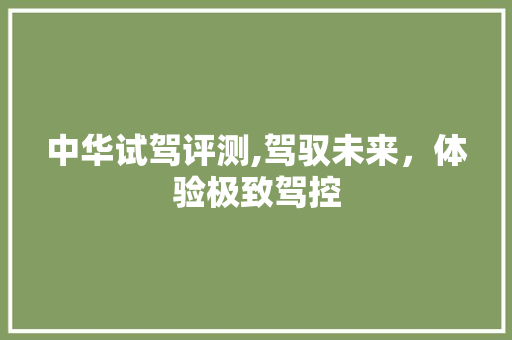中华试驾评测,驾驭未来，体验极致驾控