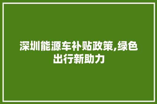 深圳能源车补贴政策,绿色出行新助力