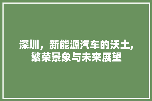 深圳，新能源汽车的沃土,繁荣景象与未来展望 自动驾驶