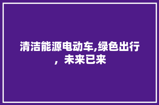 清洁能源电动车,绿色出行，未来已来