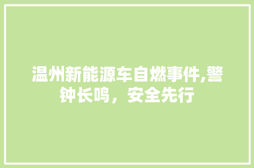 温州新能源车自燃事件,警钟长鸣，安全先行