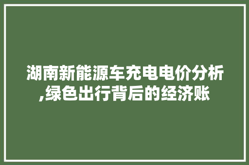 湖南新能源车充电电价分析,绿色出行背后的经济账