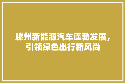 滕州新能源汽车蓬勃发展，引领绿色出行新风尚