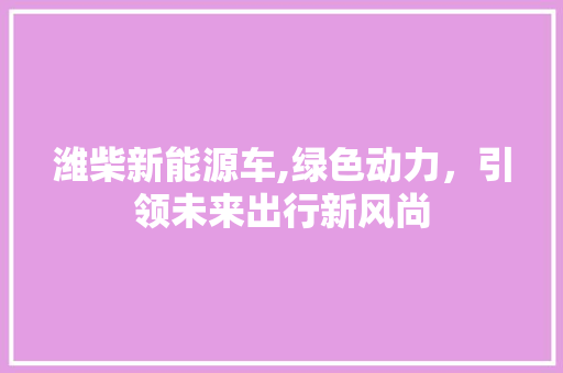 潍柴新能源车,绿色动力，引领未来出行新风尚