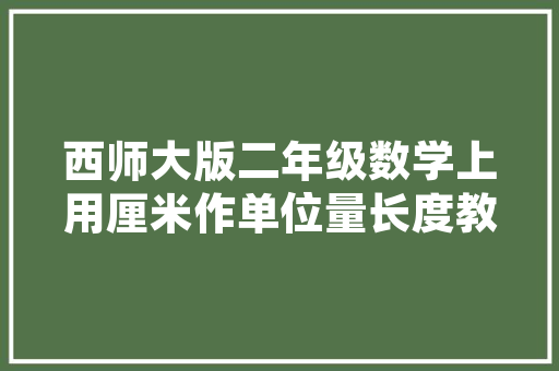 水陆两栖变形金刚,新时代科技与创意的完美融合