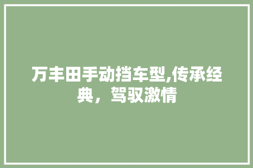 万丰田手动挡车型,传承经典，驾驭激情