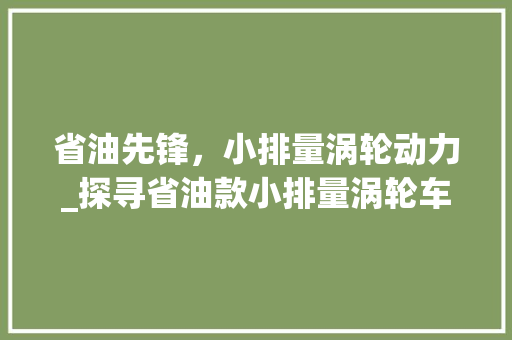 省油先锋，小排量涡轮动力_探寻省油款小排量涡轮车型之选