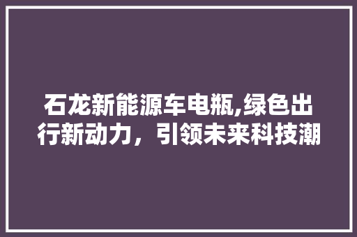 石龙新能源车电瓶,绿色出行新动力，引领未来科技潮流