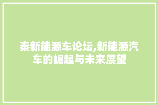 秦新能源车论坛,新能源汽车的崛起与未来展望 智能驾驶