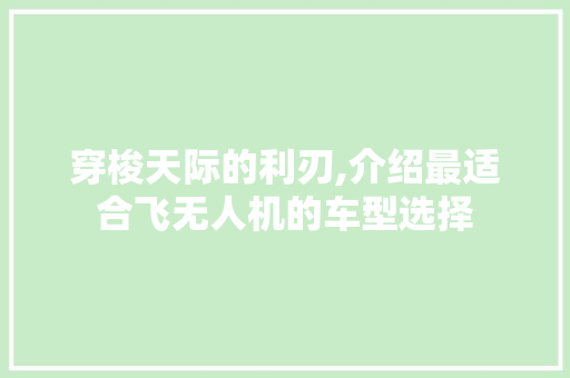 穿梭天际的利刃,介绍最适合飞无人机的车型选择