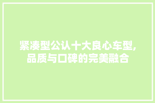 紧凑型公认十大良心车型,品质与口碑的完美融合