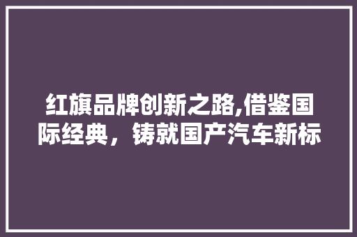 红旗品牌创新之路,借鉴国际经典，铸就国产汽车新标杆 车型评测