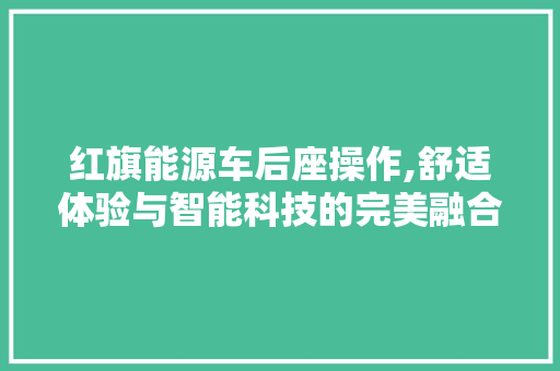 红旗能源车后座操作,舒适体验与智能科技的完美融合