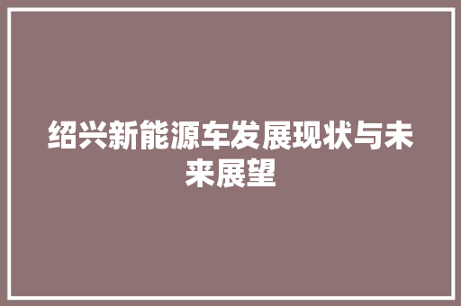 绍兴新能源车发展现状与未来展望