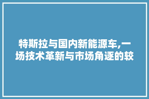 特斯拉与国内新能源车,一场技术革新与市场角逐的较量 新能源汽车