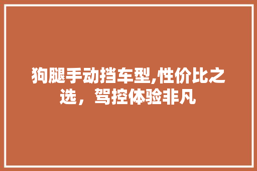 狗腿手动挡车型,性价比之选，驾控体验非凡 智能驾驶