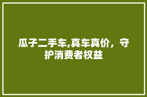 瓜子二手车,真车真价，守护消费者权益